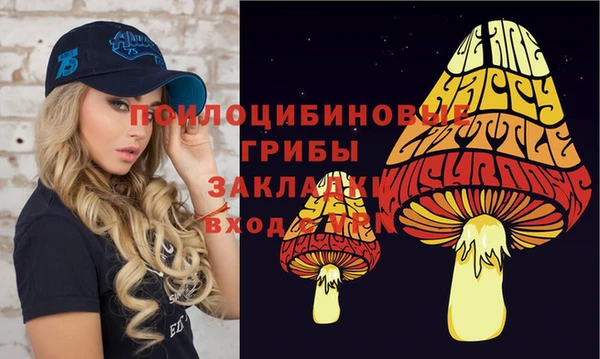 spice Алзамай