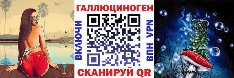 Галлюциногенные грибы Psilocybe  Аткарск 